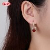 Women's 18K Gold Plated Earrings for Copper Alloy | Fashion Jewelry Hook Earrings Bulk for Wedding