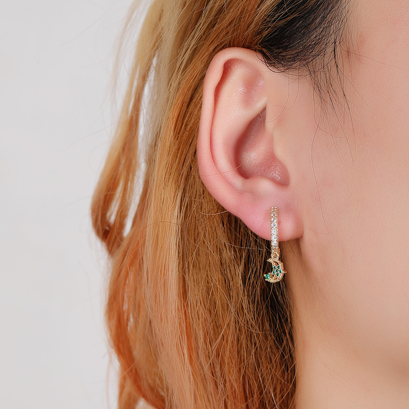 Floral Moon AAA Zircon Drop Earrings Classic