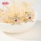 18K Gold-Plated Brass Huggie Earrings Supplier | Delicate CZ Hoop Jewelry for Women | Delicate Huggie Hoop
