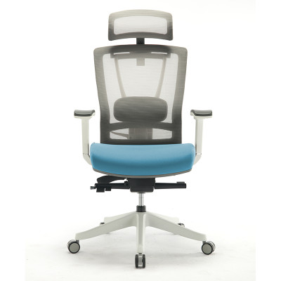 5001-Lumbar Support Mesh Ergonomic Office Chair Manufacturer