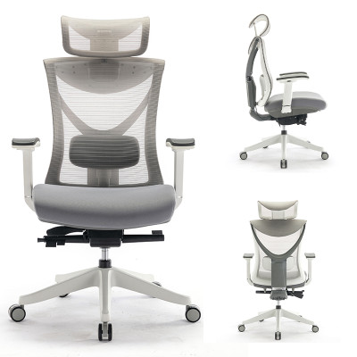 5188-Modern Design Lumbar Support Gray High Back Mesh Office Ergonomic Chairs