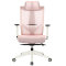 Modern Furniture Computer Mesh 3D Armrest Adjustable Swivel High Back Executive Ergonomic Office Chair