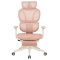 Furniture Manufacture Manager High Back Executive Desk Mesh Office Ergonomic Computer Chair