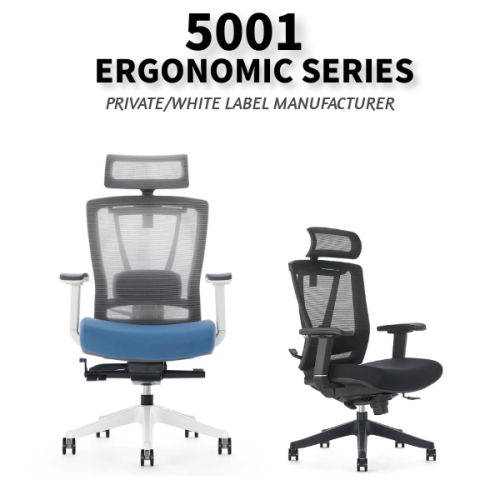5001-High back Modern Executive Office Erogonomic Mesh Chair