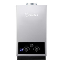 Flue Duct Gas Water Heater JSD-D10