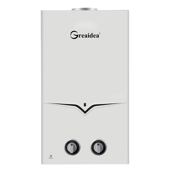 Flue Duct Gas Water Heater JSD-A1