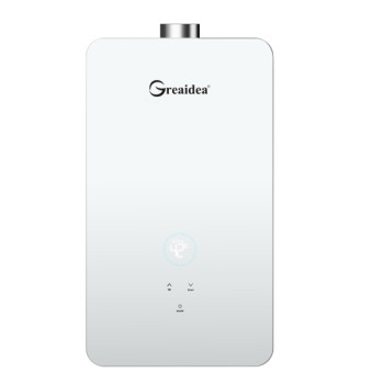 Calentador de agua a gas de temperatura constante JSQ-D306
