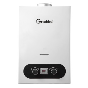 Flue Duct Gas Water Heater JSD-W9