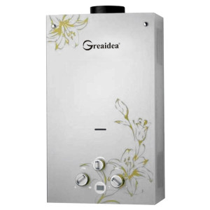 Водонагреватель дымоходного газа JSD-G6