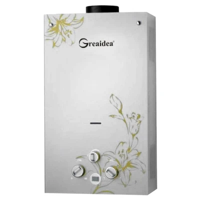 Flue Duct Gas Water Heater JSD-G6
