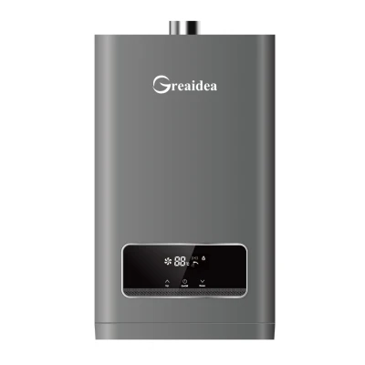 Constant Temperature Gas Water Heater JSQ-D55