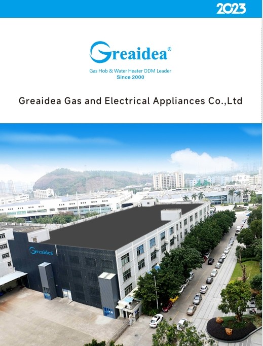 Greaidea Gas Water Heater Catalog 2023 by CE Certificates