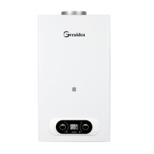 Calentador de agua a gas con conducto de humos JSD-D15A