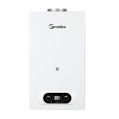 Calentador de agua a gas con conducto de humos JSD-D15A