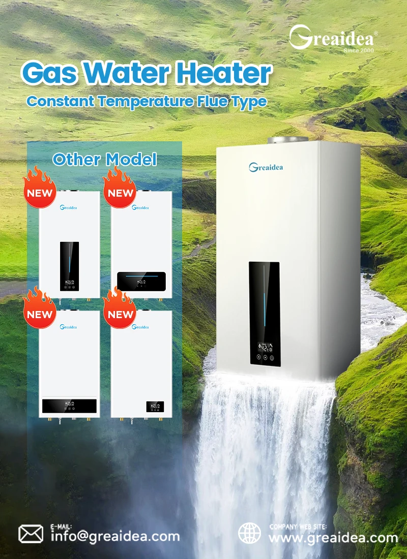 constant temperature flue type gas water heater