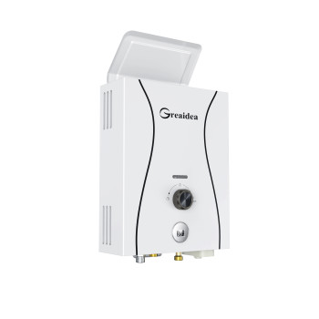 Flue Duct Gas Water Heater JSD11-D1