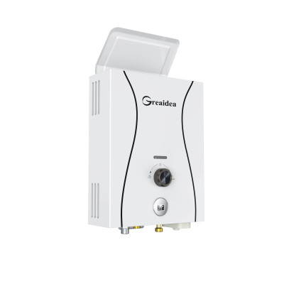 Flue Duct Gas Water Heater JSD11-D1