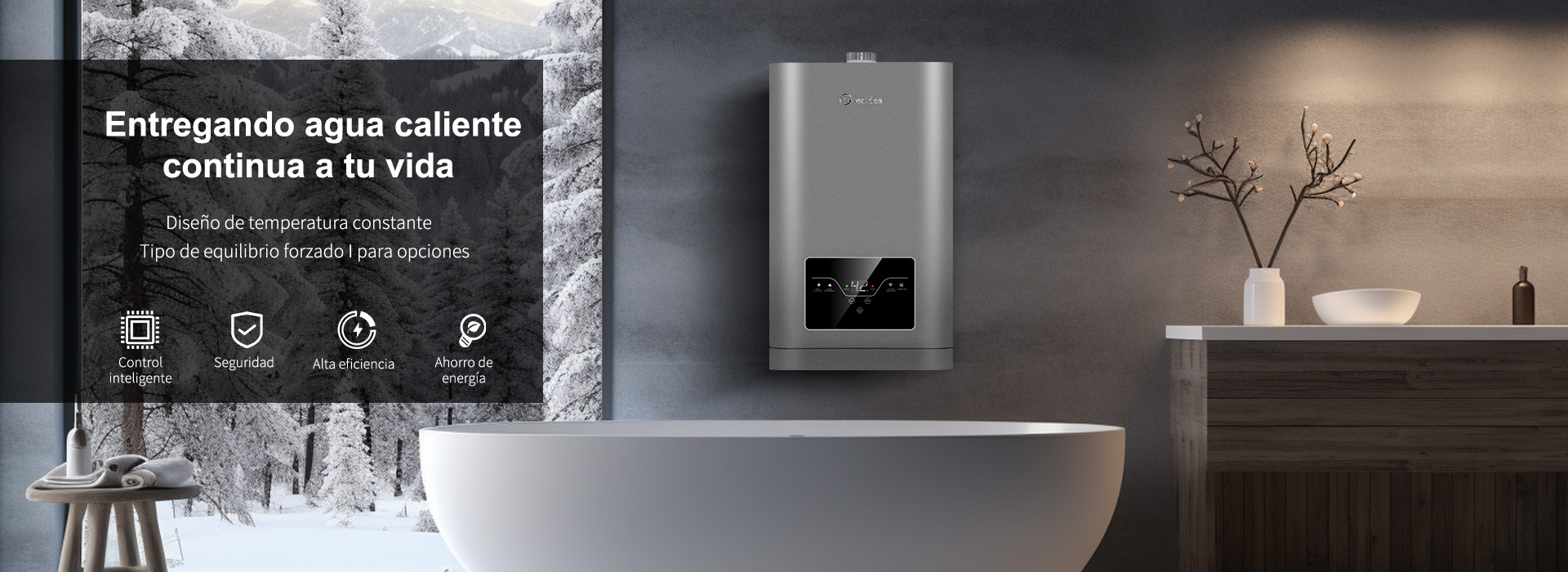 gas water heater