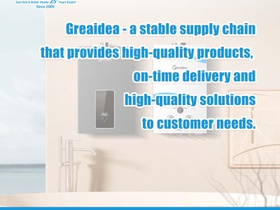 European Market Amidst the Energy Crisis: Demand for High-Efficiency Gas Water Heaters Surges – How Can the Supply Chain Respond?