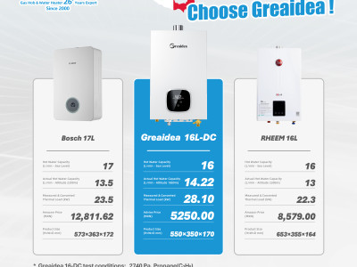 Mexico Gas Water Heater Market Report 2026: Performance & Price Comparison Between BOSCH, Rheem, and Greaidea