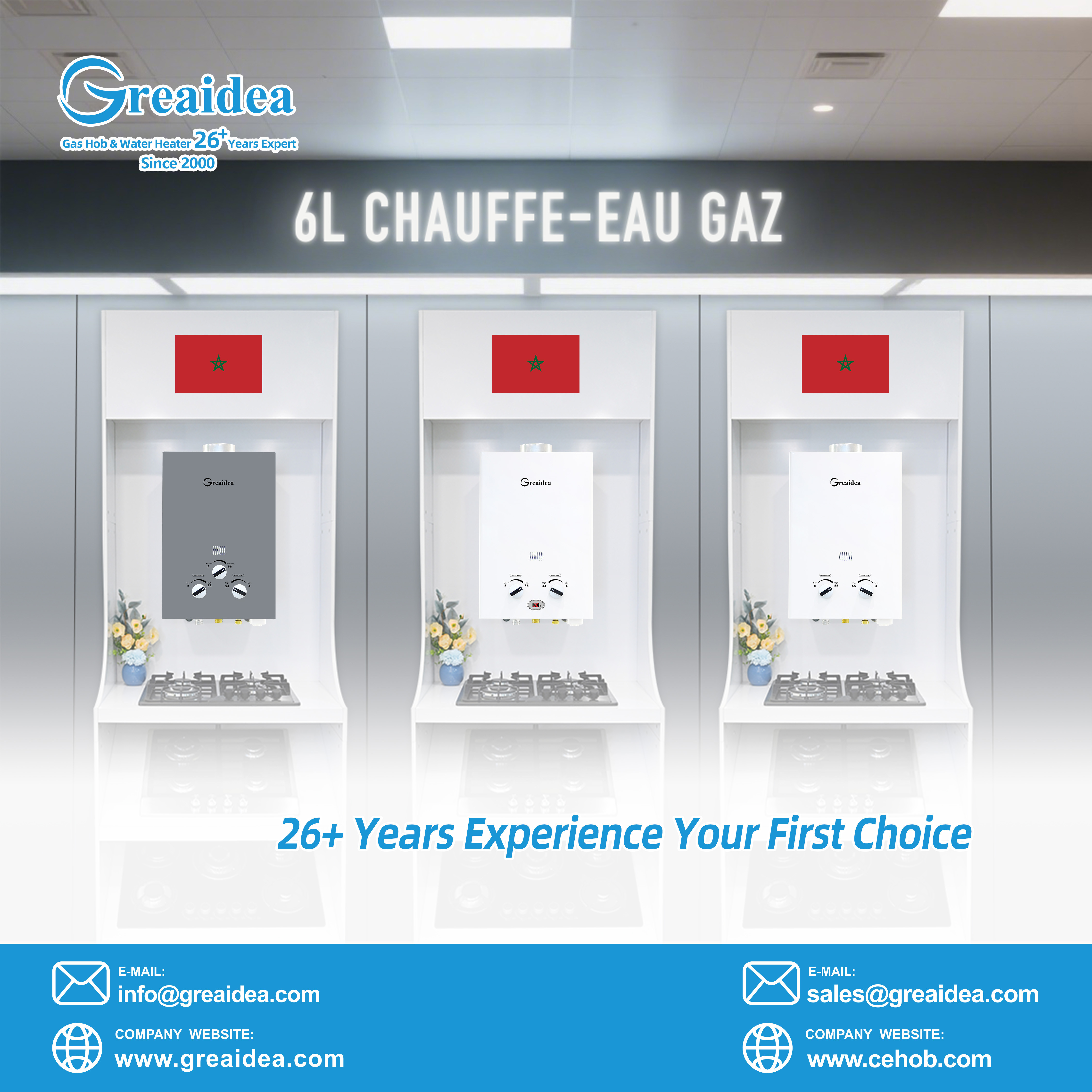Greaidea's best 6L gas water heater