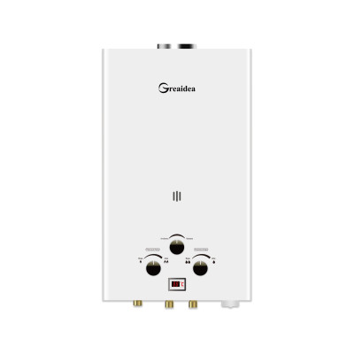 Flue Duct Gas Water Heater JSD-D5
