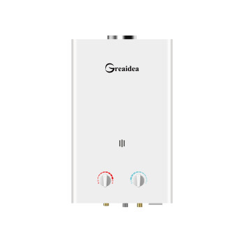 Flue Duct Gas Water Heater JSD-W1