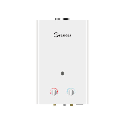 Flue Duct Gas Water Heater JSD-W1