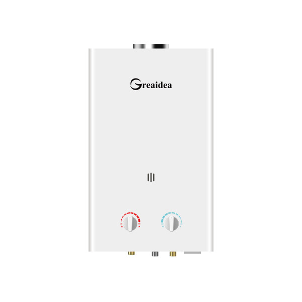 Flue Duct Gas Water Heater JSD-W1