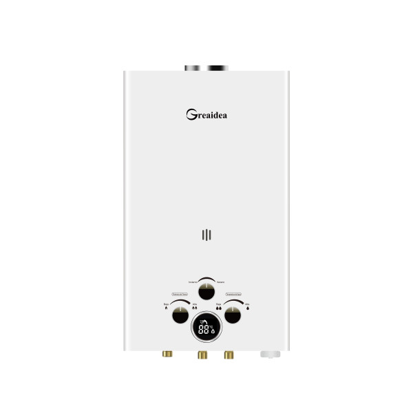 Flue Duct Gas Water Heater JSD-D6