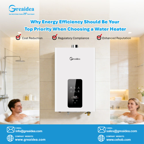 Why European Brands Dominate Tunisia's Gas Water Heater Market—and How New Brands Can Build a Competitive Advantage