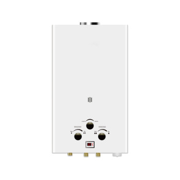 Flue Duct Gas Water Heater JSD-D5