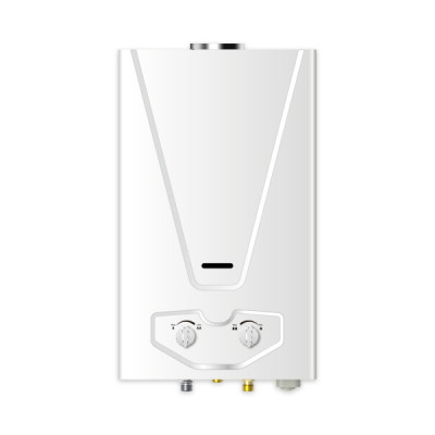 Flue Type Gas Water Heater | 6L-13L | ODM & OEM Supported