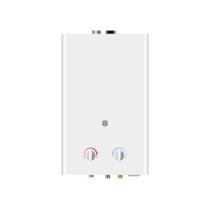 Flue Duct Gas Water Heater JSD-W1