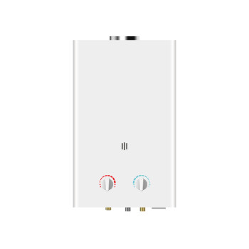 Flue Duct Gas Water Heater JSD-W1