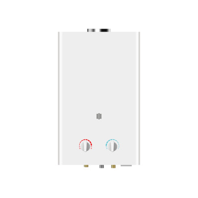 Flue Duct Gas Water Heater JSD-W1