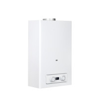 Flue Duct Gas Water Heater JSD-D13