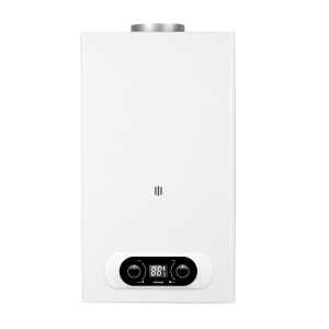 Flue Duct Gas Water Heater JSD-D15A
