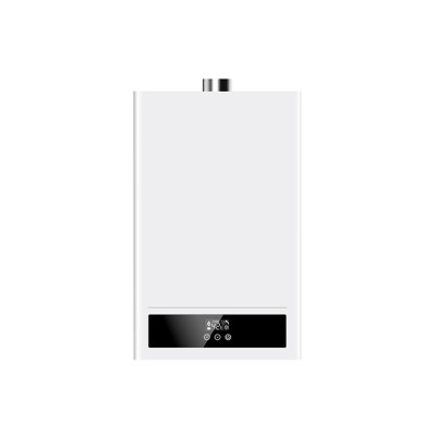 Constant Temperature Gas Water Heater JSQ-CT4(12L-18L) Support OEM&ODM