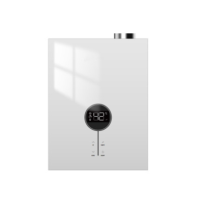 Constant Temperature Gas Water Heater Mini 16L