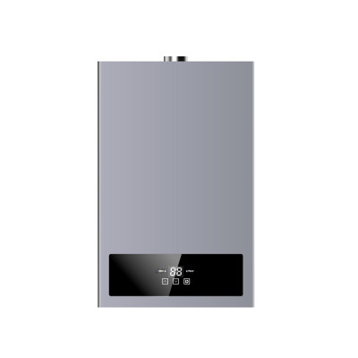 Constant Temperature Gas Water Heater JSD T01/A 12L