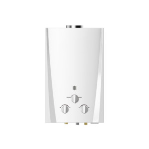 Flue Duct Gas Water Heater JSD-W2