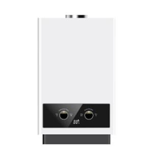 Flue Duct Gas Water Heater JSD-D3