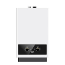 Flue Duct Gas Water Heater JSD-D3