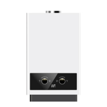 Flue Duct Gas Water Heater JSD-D3