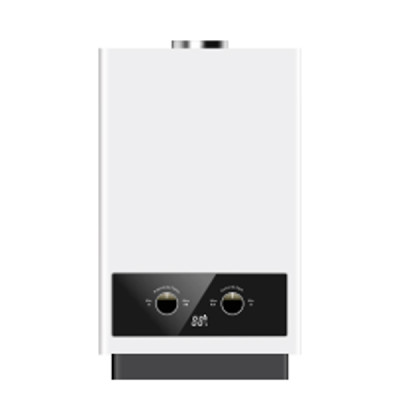 Flue Duct Gas Water Heater JSD-D3