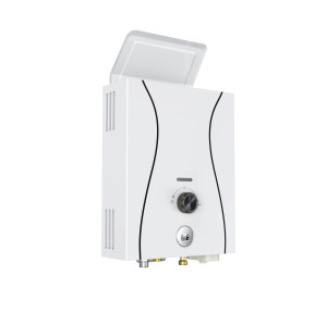 Flue Duct Gas Water Heater JSD11-D1