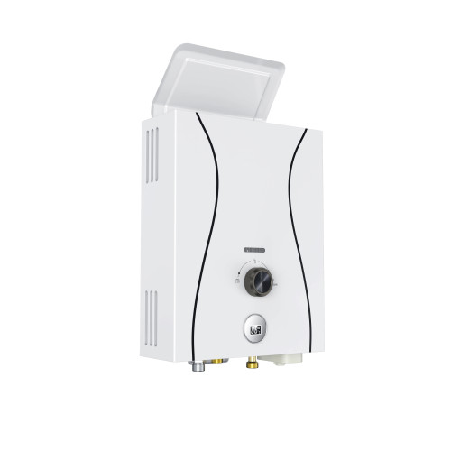 Flue Duct Gas Water Heater JSD11-D1