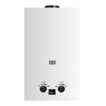 Flue Duct Gas Water Heater JSD-D11