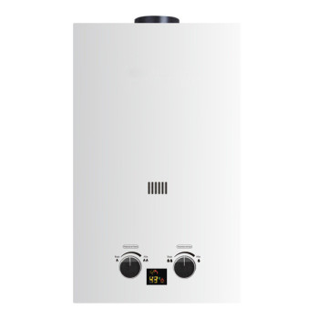 Flue Duct Gas Water Heater JSD-D11